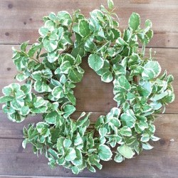 19IN GREEN LEAF MINT WREATH