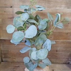 11X11X17 EUCALYPTUS TREE