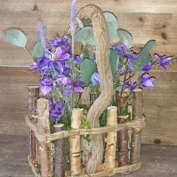 11X4.5X14 LILAC IN BIRCH POT