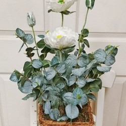 8X18 POPPY IN VINE VASE