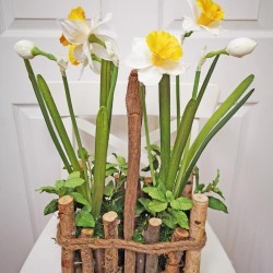 11X7X18 DAFFODIL IN VASE