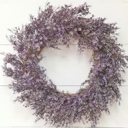 24IN CUP PLANT WREATH