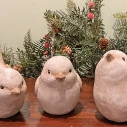 ASST 5X4,6X4 BIRDS X3