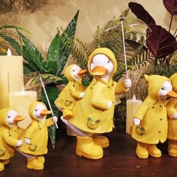 ASST 10X8,9X6&8X11 RAINCOAT DUCK
