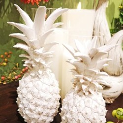 4X8.3&4.2X10.5 PINEAPPLE X 2
