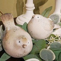 5.3X3.5X4 BIRD COUPLE X2