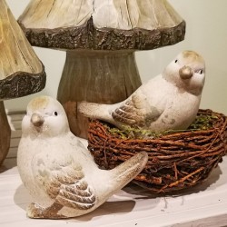 5X2.6X3.75 BIRDS X 2