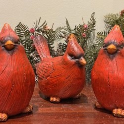 ASST 6.5IN CARDINAL X 3