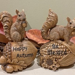 5.5X8IN SQUIRREL ON NUTS