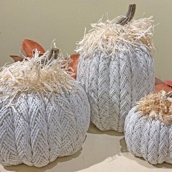 6,8.5&8X12 WHEAT PUMPKINX3