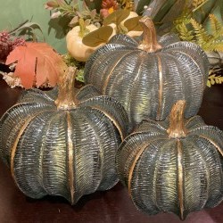 6X5.5,7X6&8X8 PUMPKINX3