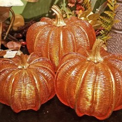 6X5.5,7X6&8X8 PUMPKINX3