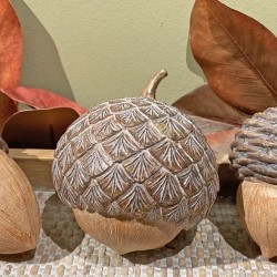 4.8&5.5IN ACORNS X 3