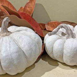 ASST 7X4.5&8.5X6 PUMPKIN X2