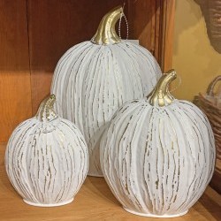 4.3X6,6X7.7&7.8X12 TALL PUMPKINX