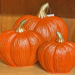 5.3X5,6.6X6&10X9 RD PUMPKINX3