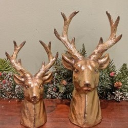 9&12.25IN DEER HEAD X2PC