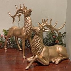 11X14&13X11 DEER X2
