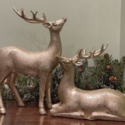 8.5X11&13.75X15.5 DEER X2