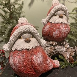 13X13&13&17 RED BIRDSX2