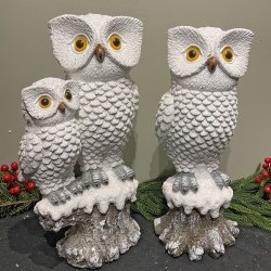 8X17&10X18 OWLS X 2