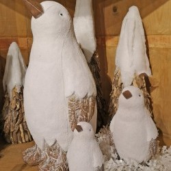 4X7,5X9&10X18 PENGUINX3