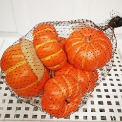 BAGGED ASSORTED PUMPKIN X 6PC