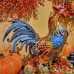 22X9X24.75 ROOSTER