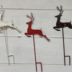8X18.5 DEER X 3