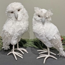 9X18 OWLS X 2