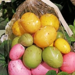 ASST 18PC EGG BAG