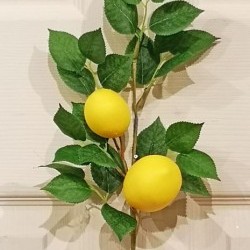 17IN LEMON SPRAY