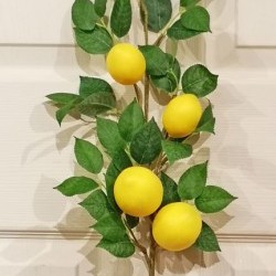 18IN LEMON SPRAY