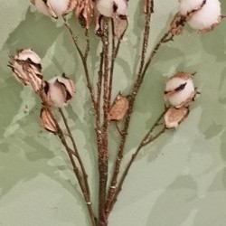 36IN COTTON&NUT SPRAY