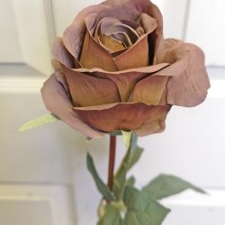 21IN SINGLE ROSE