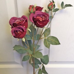 28IN ROSE/6BUD