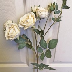 28IN ROSE/6BUD