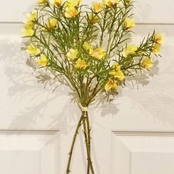 19IN SULFUR COSMOS BUNCH