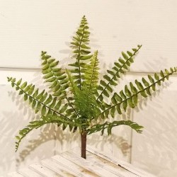 14IN FERN BUNCH
