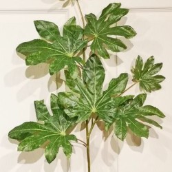 41IN PAPERPLANT SPRAY