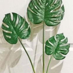 30IN MONSTERA BUNDLE