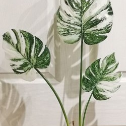 30IN MONSTERA BUNDLE