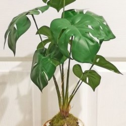 17IN MONSTERA MOSS BASE