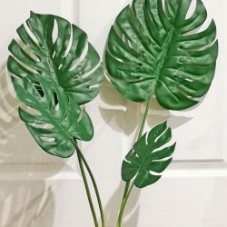 35IN MONSTERA BUNDLE