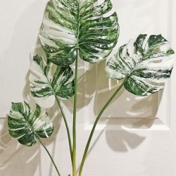 35IN MONSTERA BUNDLE