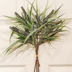 18IN AQUATIC BUNDLE