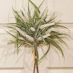 18IN AQUATIC BUNDLE