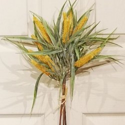 18IN AQUATIC BUNDLE