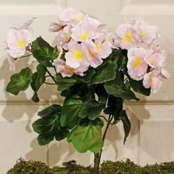 15.5IN BEGONIA&BLOOM BUSH