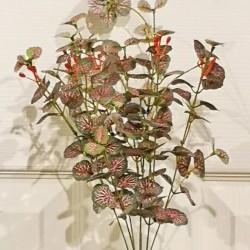 15.5IN BEGONIA LVS BUSH